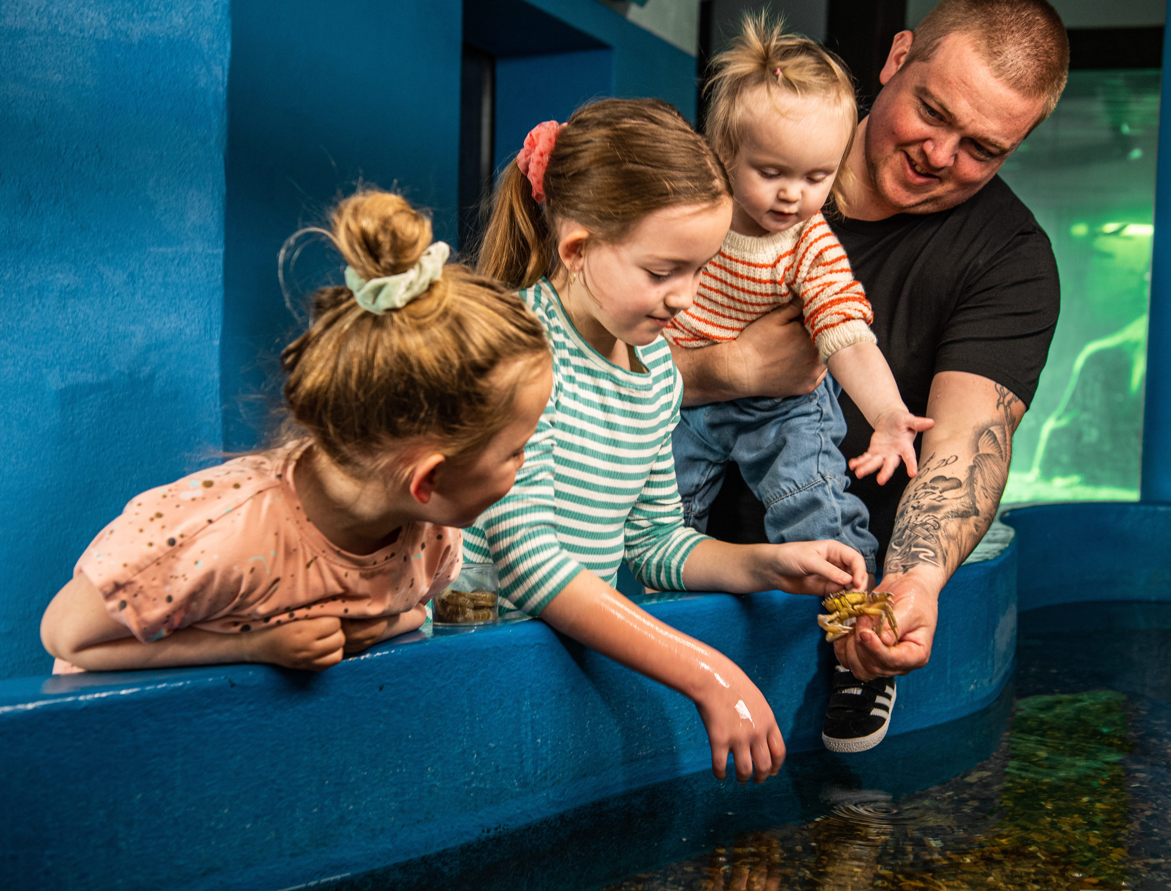 Billede af familie der kigger på en krabbe