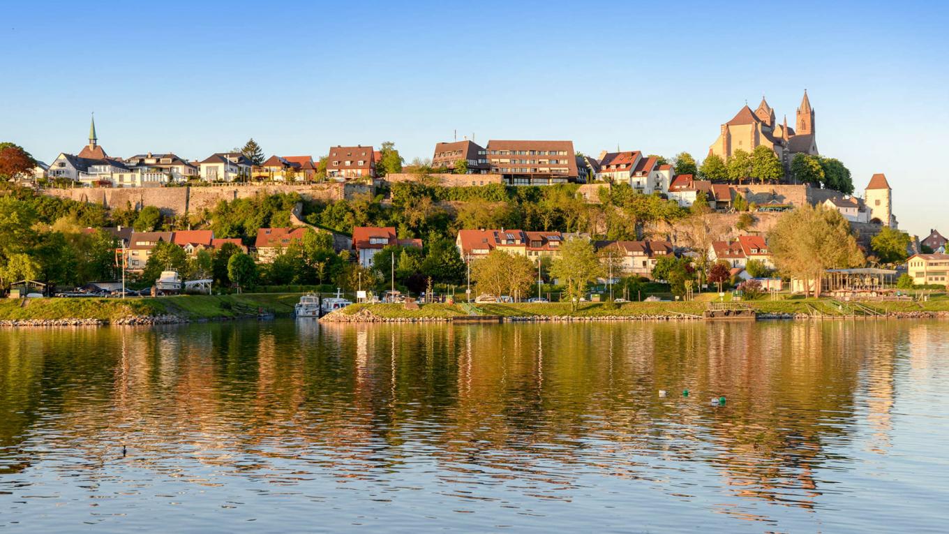 Camping Île du Rhin Camping Île du Rhin
