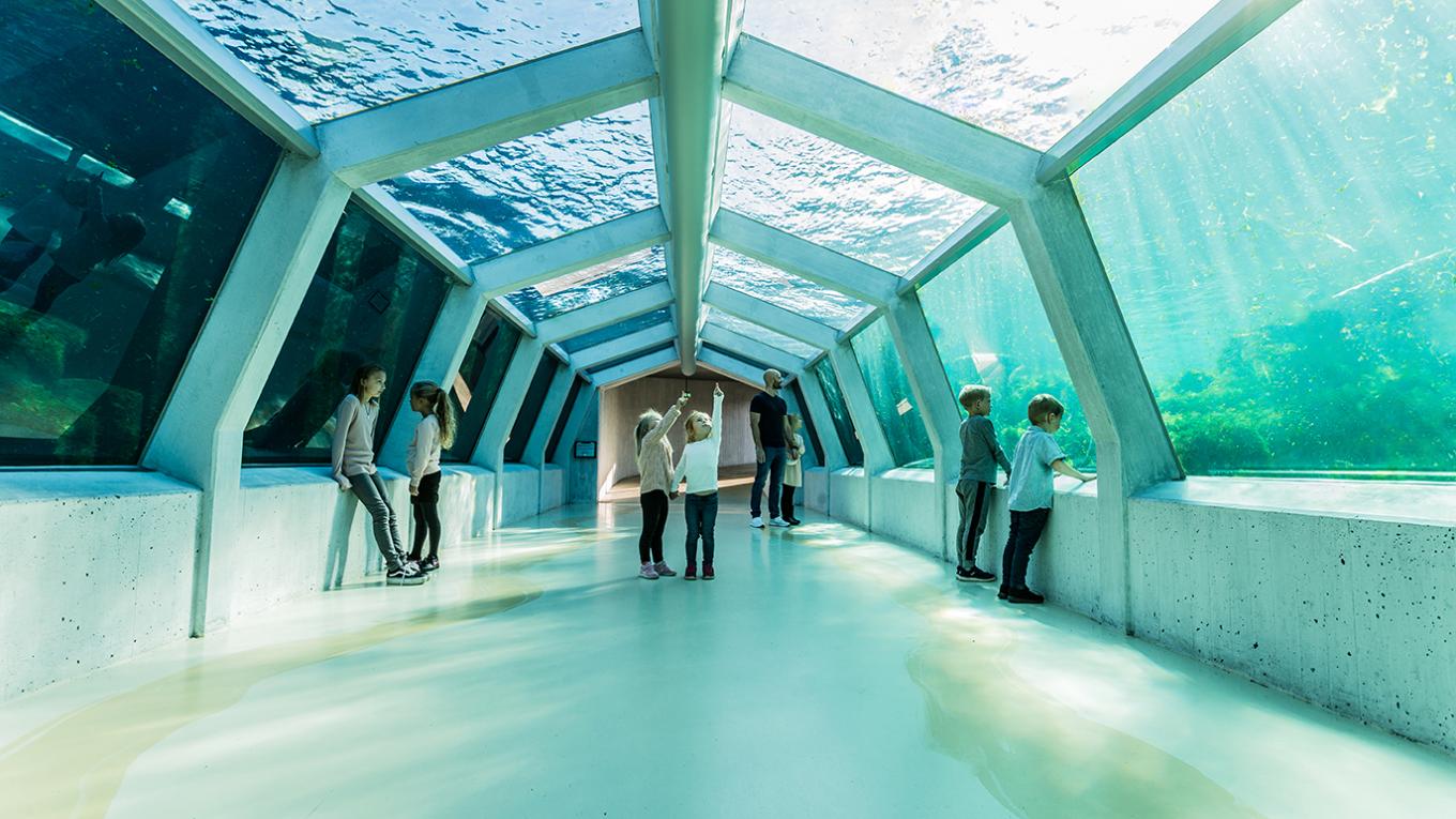 Nordsøens Oceanarium Nordsøens Oceanarium