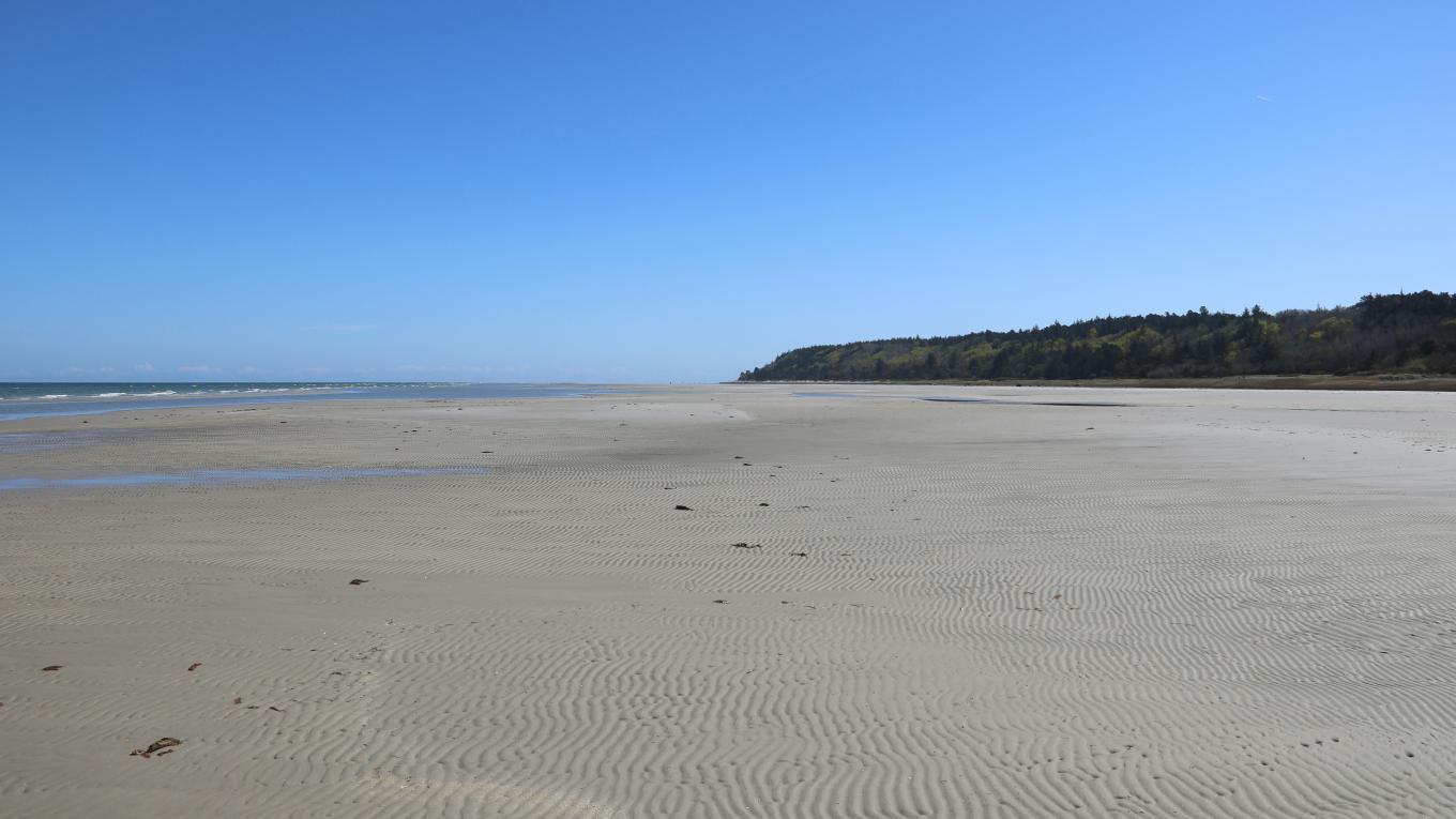 Bønnerup Strand Bønnerup Strand