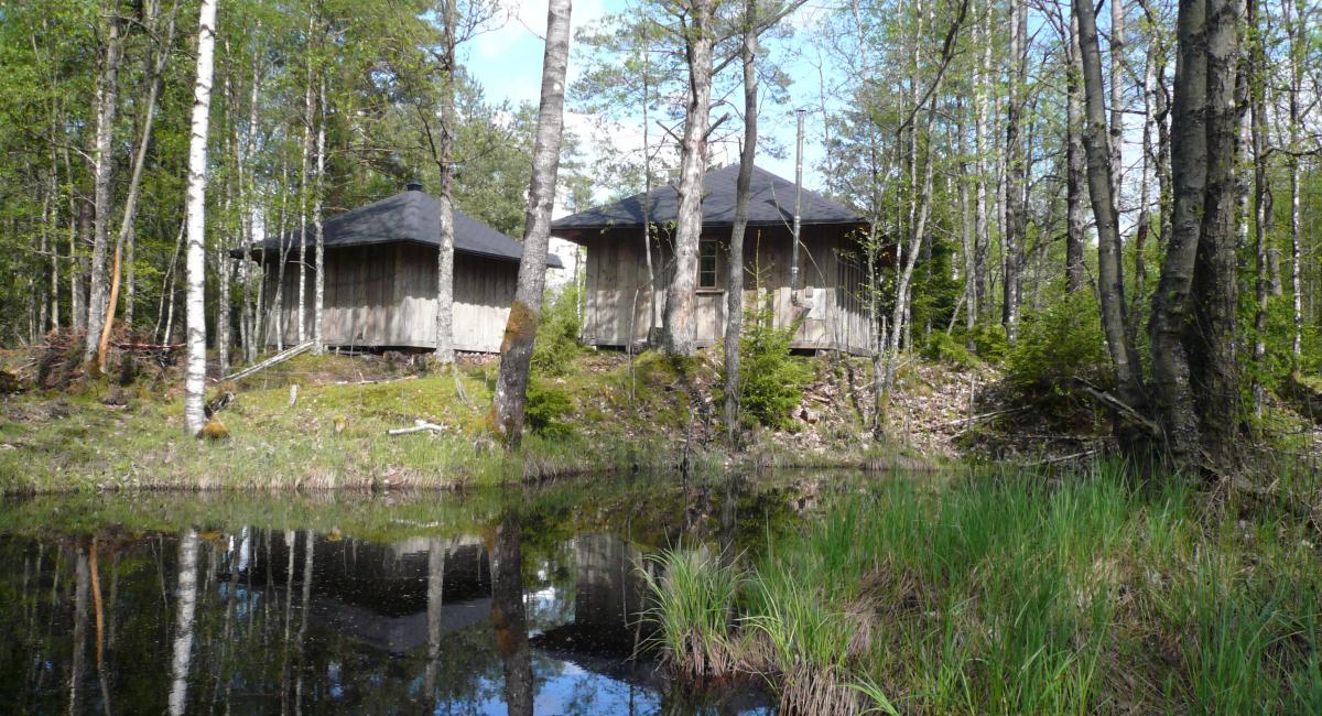 På Charlottenlund overnatter du midt i Smålands vilde natur og bor uforstyrret uden elektricitet eller vand i hytten. Sverige, VisitSweden, Charlottenlund, vildmark, natur, sov i pagt med naturen