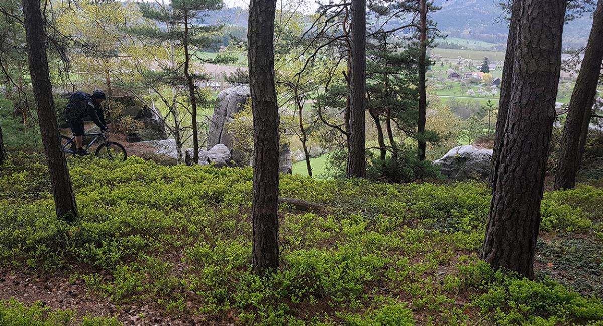 Det bøhmiske paradis, Tjekkiet, mountainbike 