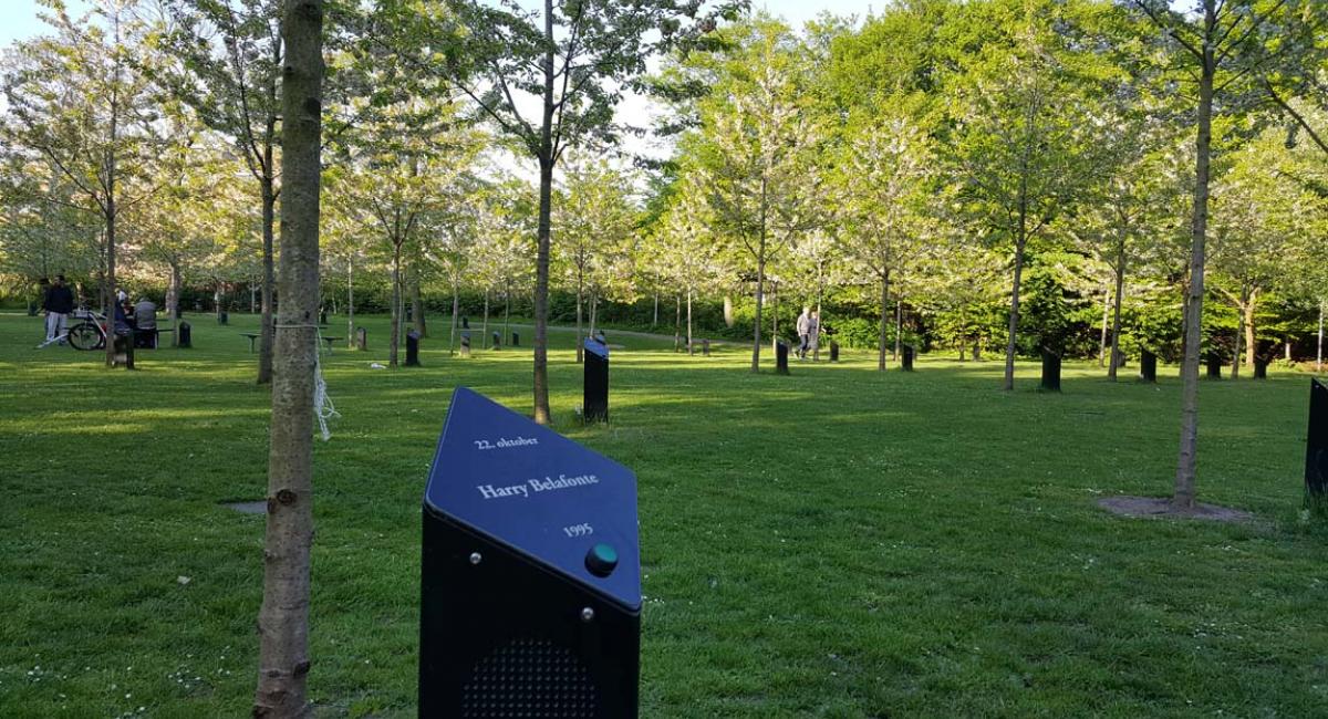 Lyt til din yndlingsmusik ved "De syngende træer" i Kildeparken. Kildeparken, De syngende træer, Aalborg