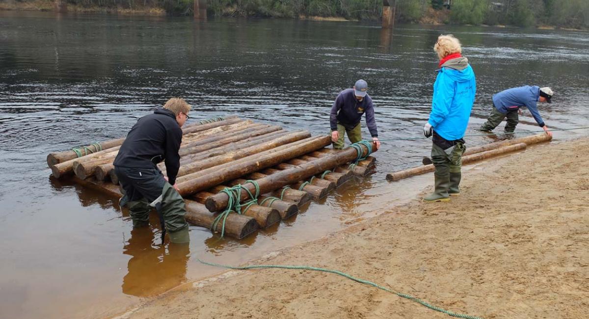 Med lidt teamarbejde kan du sagtens bygge din egen tømmerflåde – og det er sjovt! Värmland, Sverige, tømmerflåde, tømmerflådebygning, Klarälvens Camping, teamwork, aktiv ferie