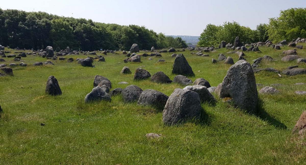 Gå på opdagelse i Lindholm Høje - Nordens største vikingegravplads - i Nørresundby. vikingegravplads, Lindholm Høje, Nørresundby